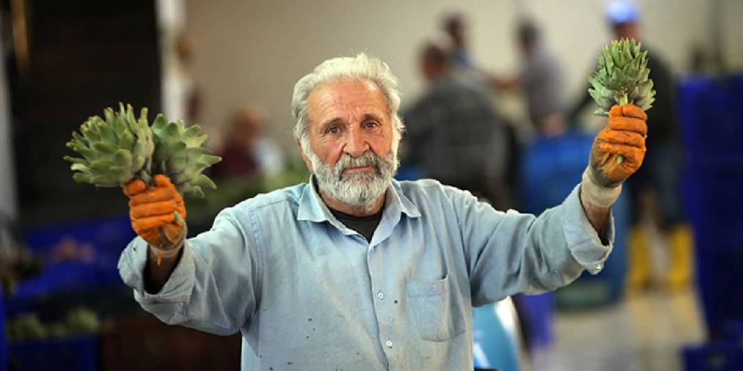 Enginarı robotlar soyamadı, Hüseyin abi ve ekibi devreye girdi! “Enginar soyma timi" ile 25 yıldır hizmet veriyor 3